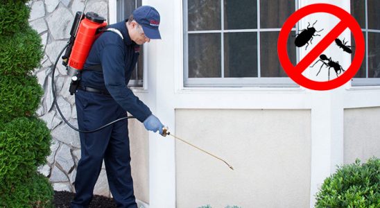Haliliye Akrep İlaçlama böcek ilaçlama ve haşere kontrolü — ilaclama-tr.com